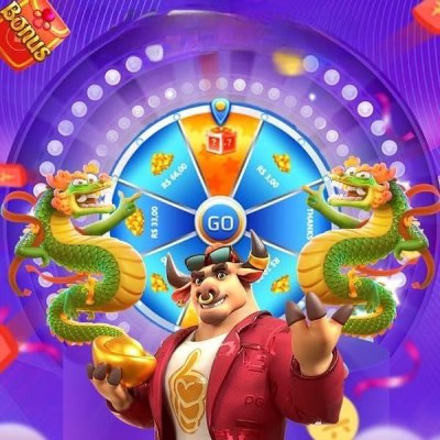 55mbet com