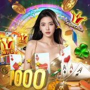 d333bet